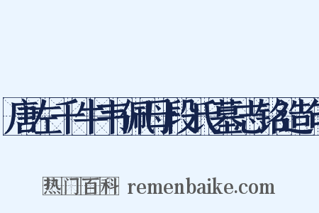 唐左千牛韦佩母段氏墓志铭造句是什么意思的图片